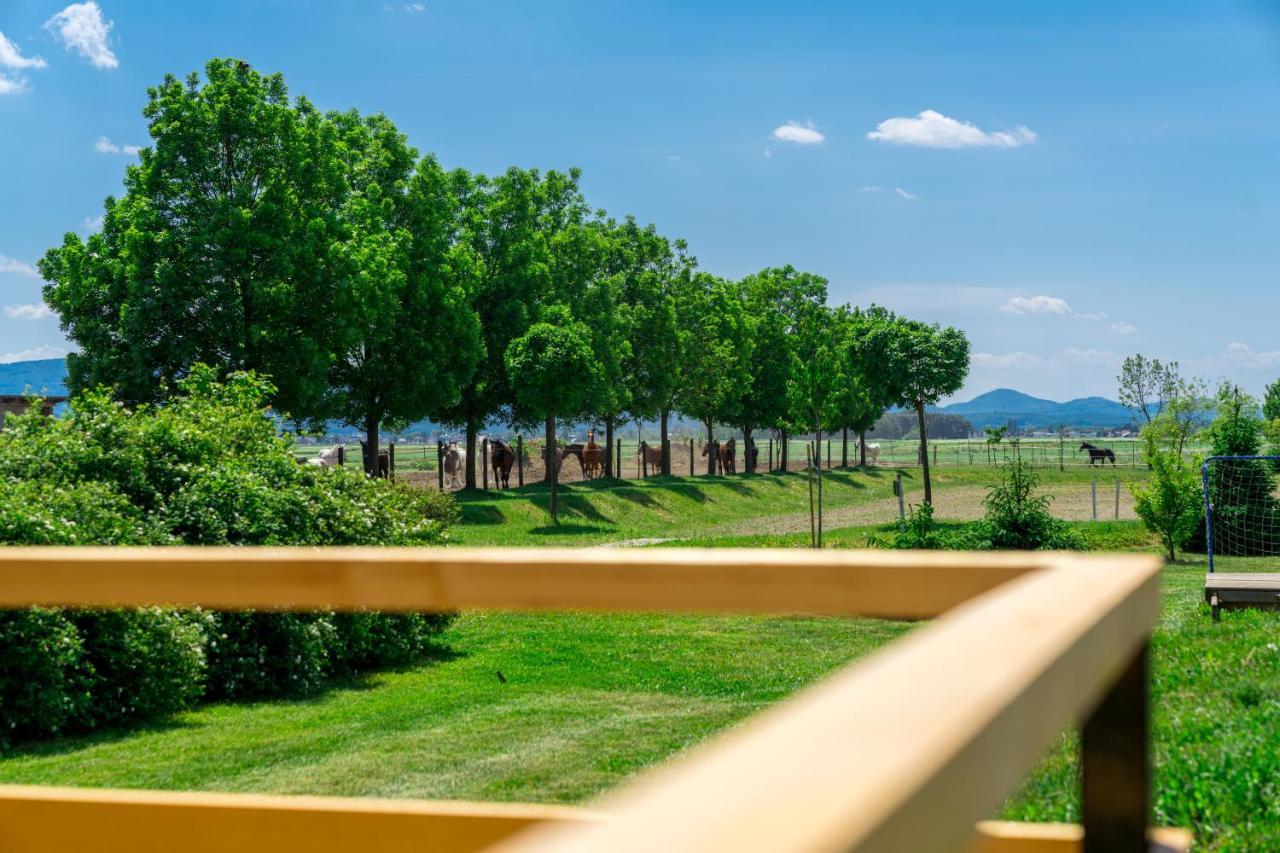 Horse Glamping Park Hotel Cirkovce Exterior photo